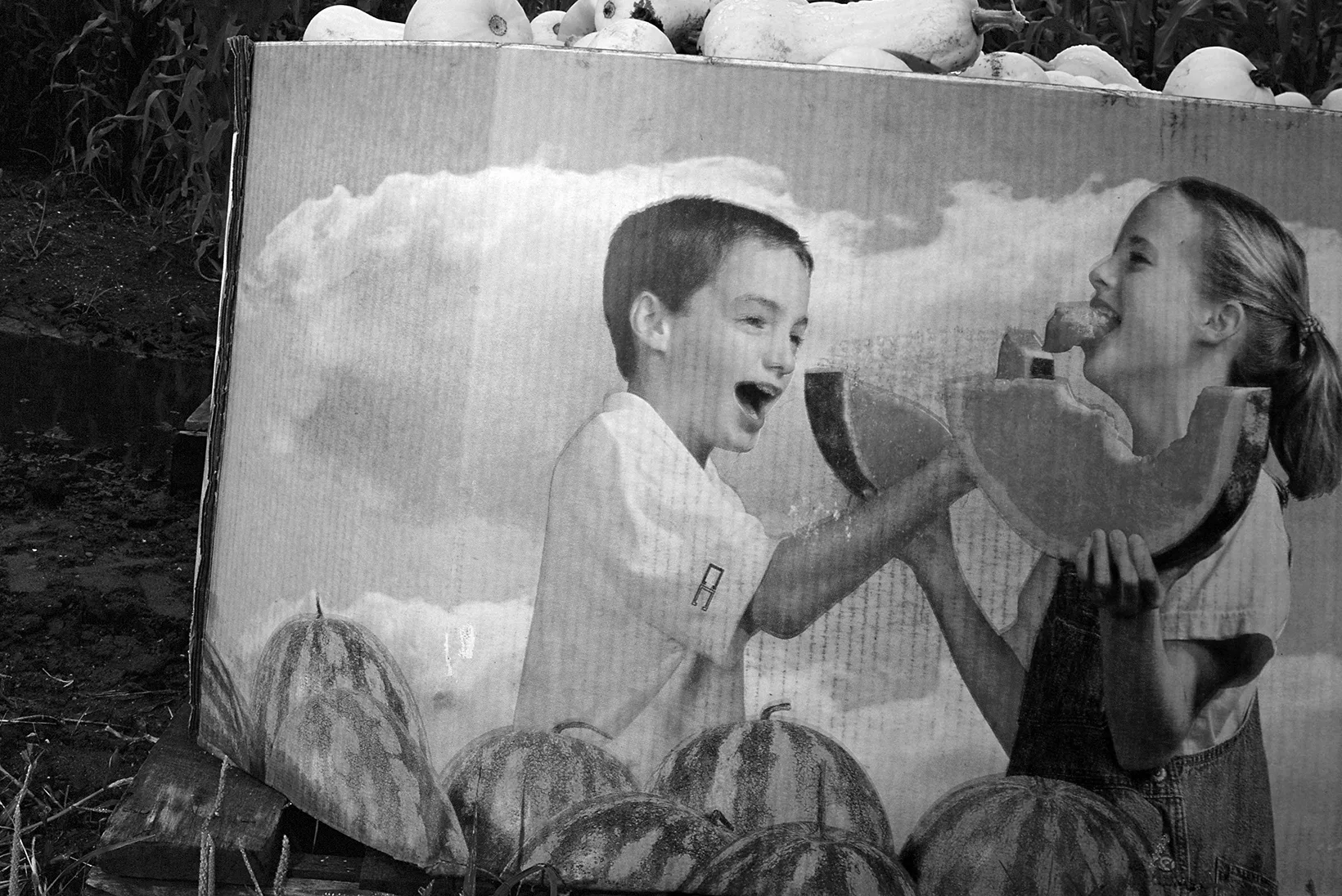 Dream A Little Dream
