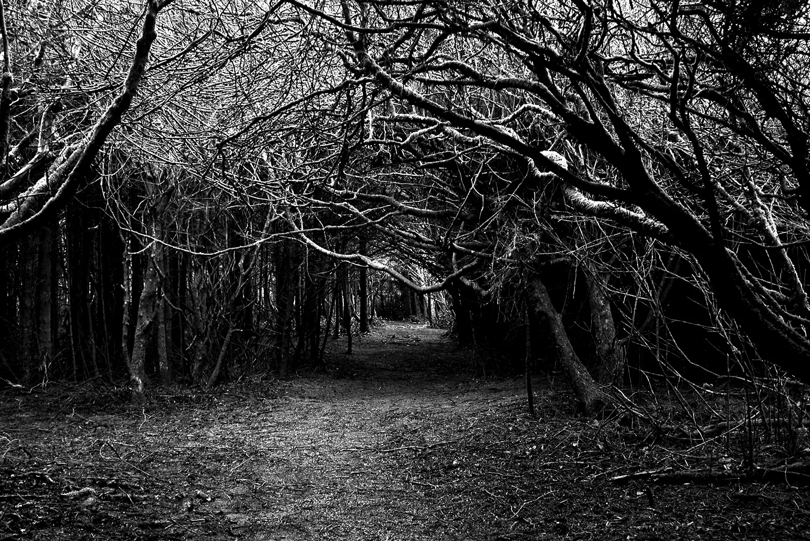 Walking Around In The Heart