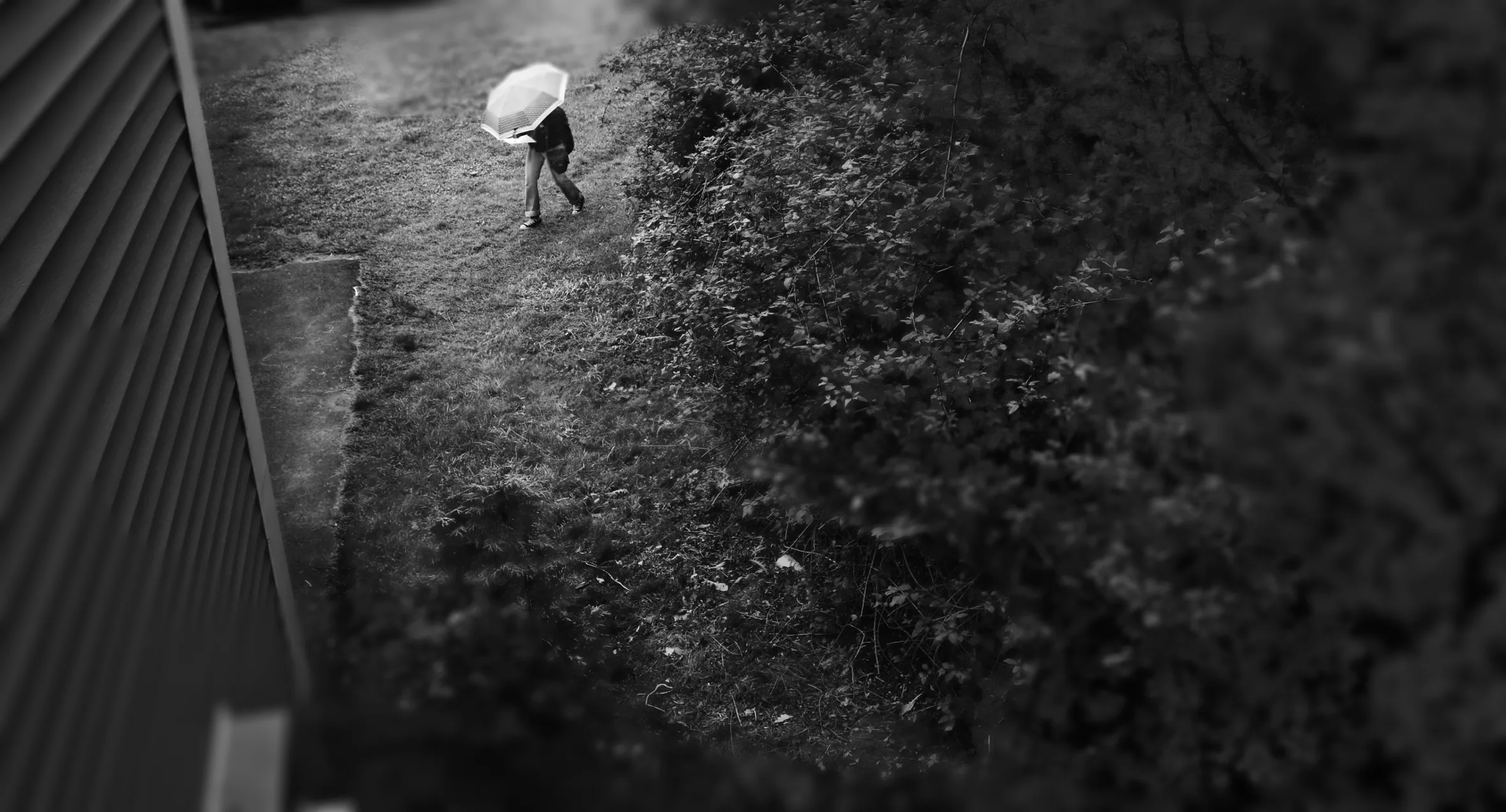 406 - Satterlee - Rain