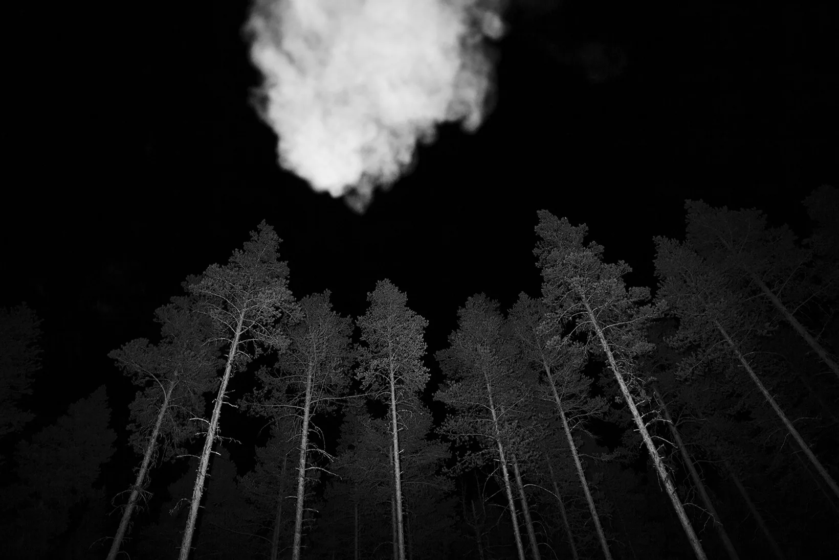 As We Lay Dying