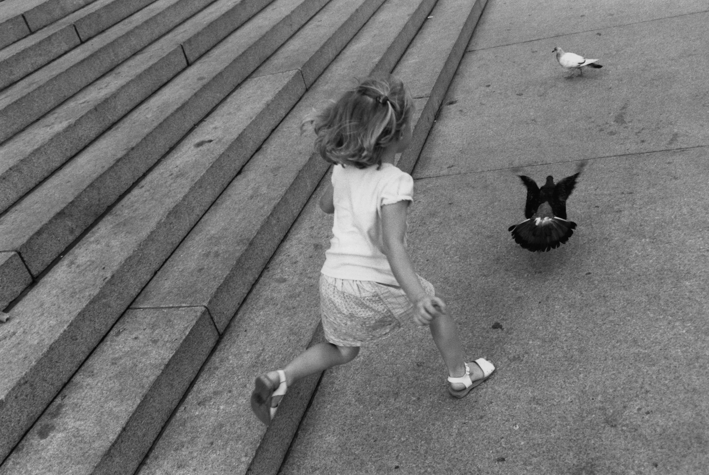 A little girl with shoulder-length hair wearing a white short-sleeved shirt, print skirt, and white sandals is seen from the side stepping off the bottom step of a wide set of steps in the city chasing a pigeon.