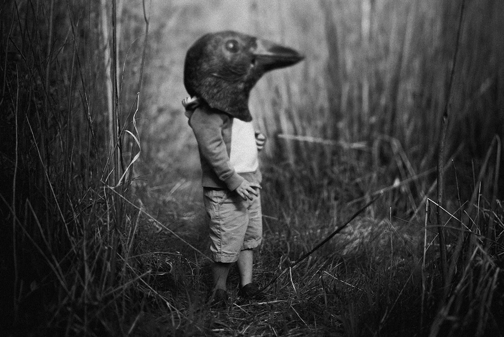 Overheard While Bird-Watching