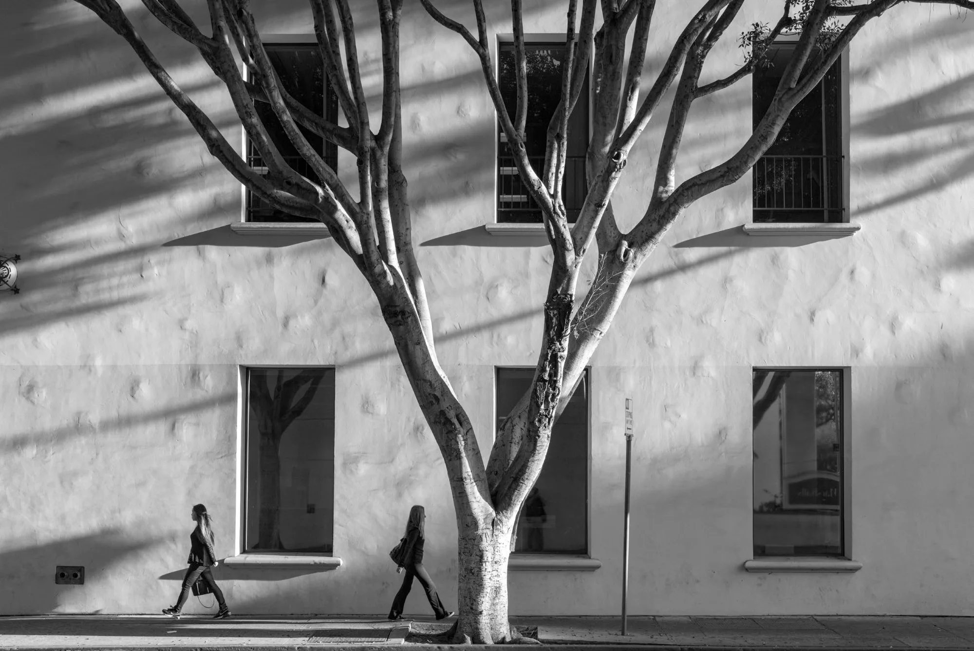 Two women walk in opposite directions passing a tree outside a building