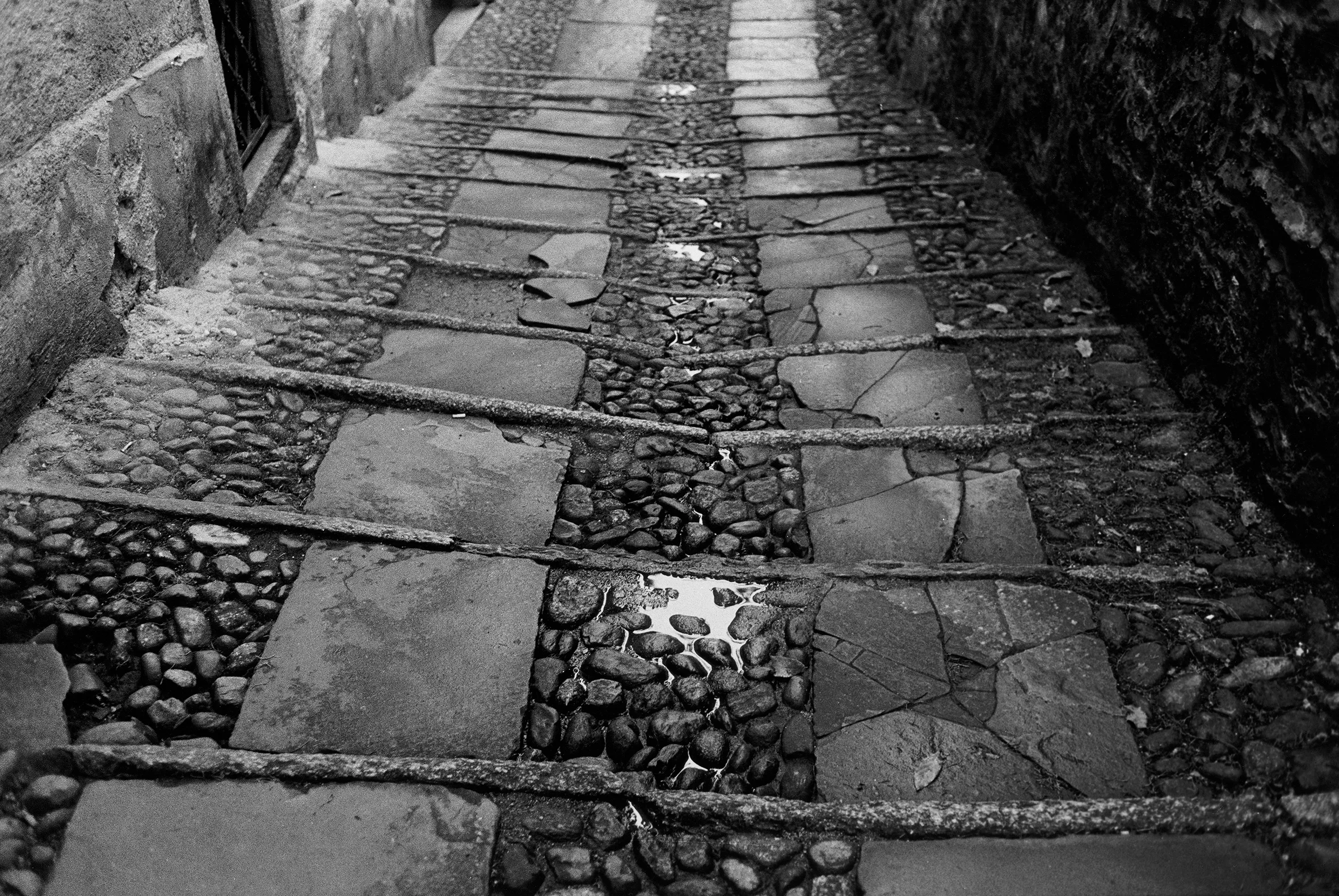 356 - Carter - Firimitã