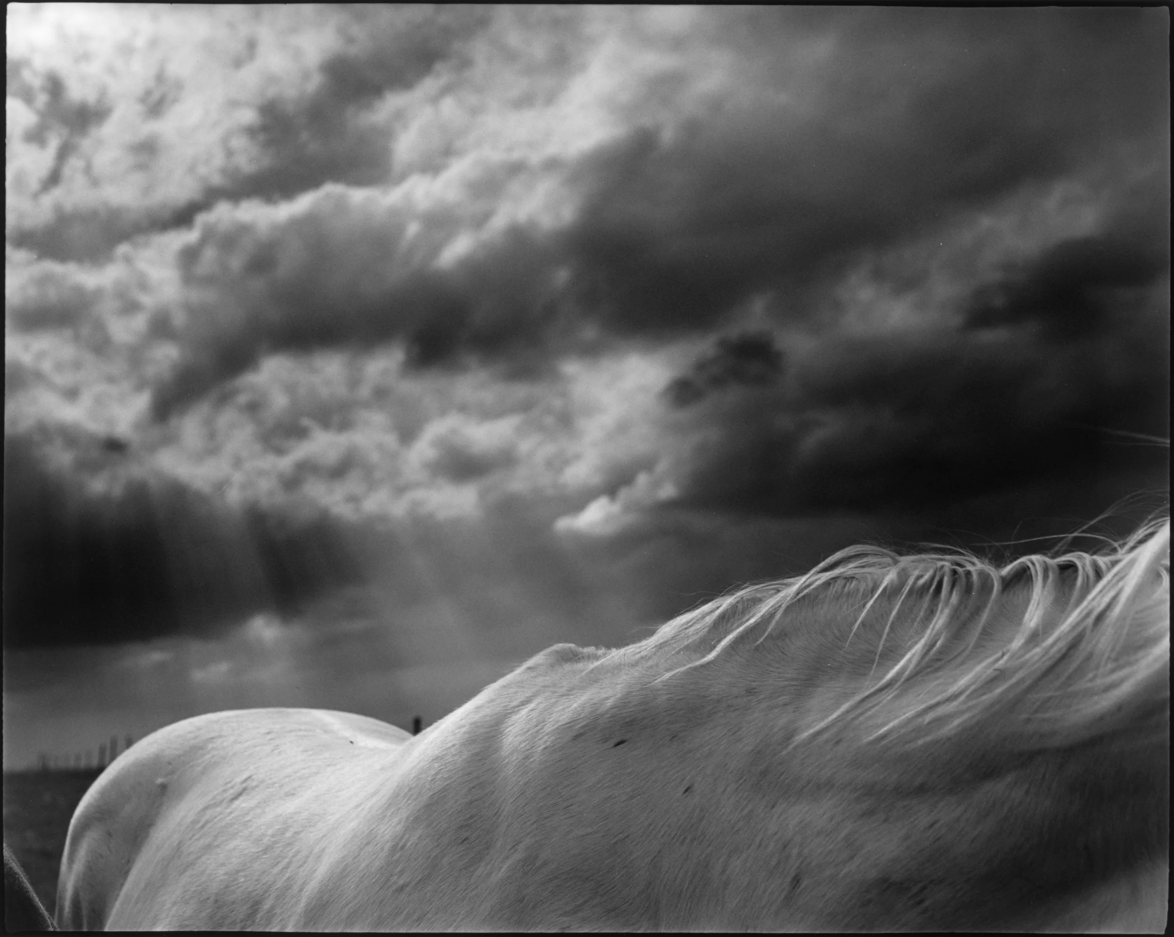 Doug Beasley