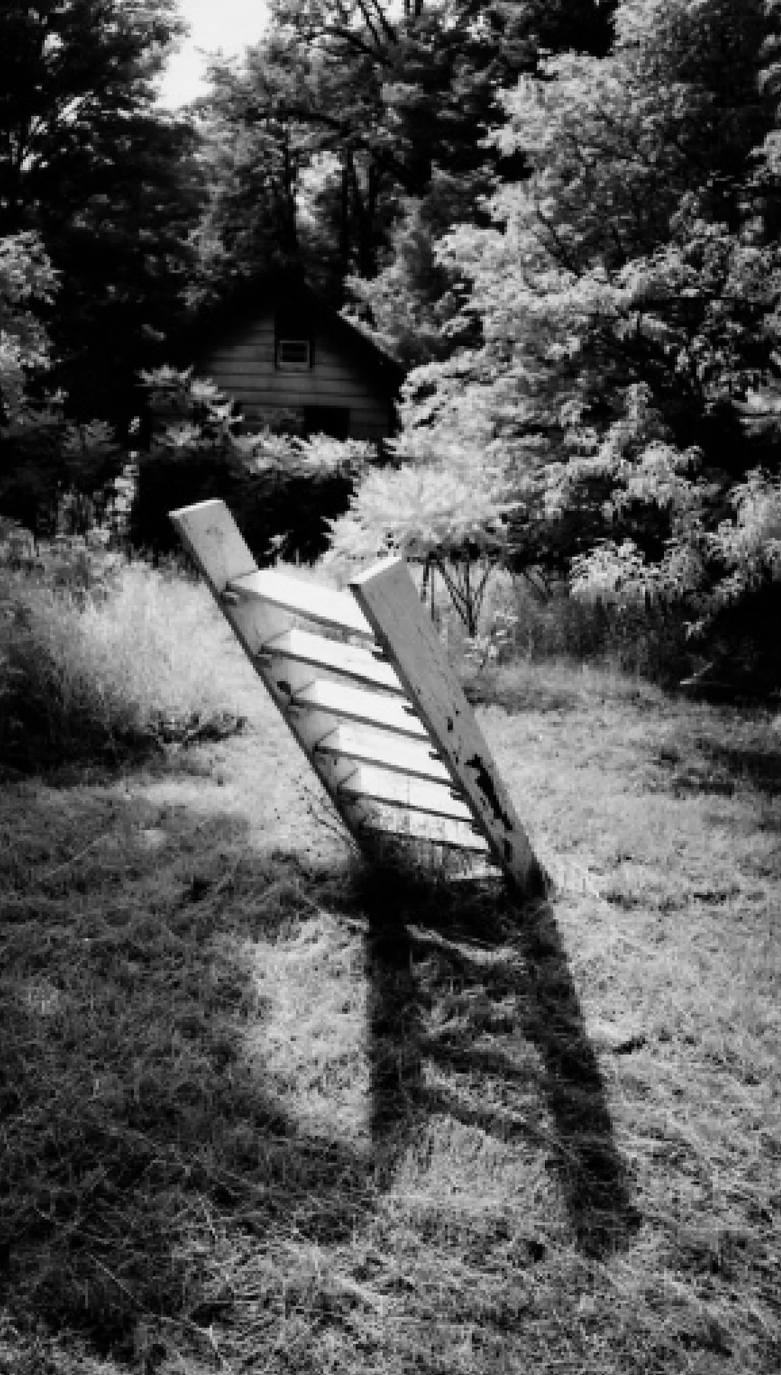 Duncan Green