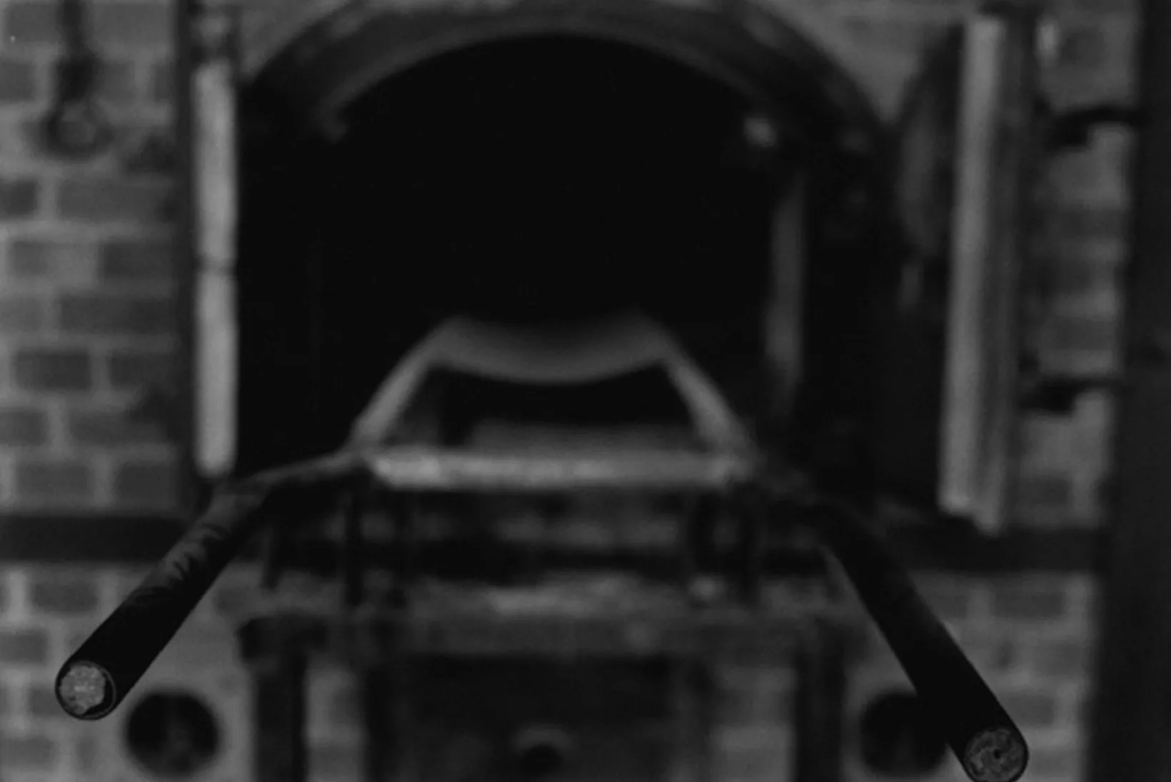 Among The Ashes