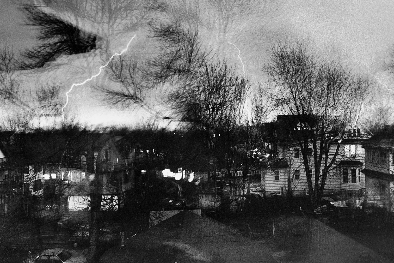 Loving The Dead