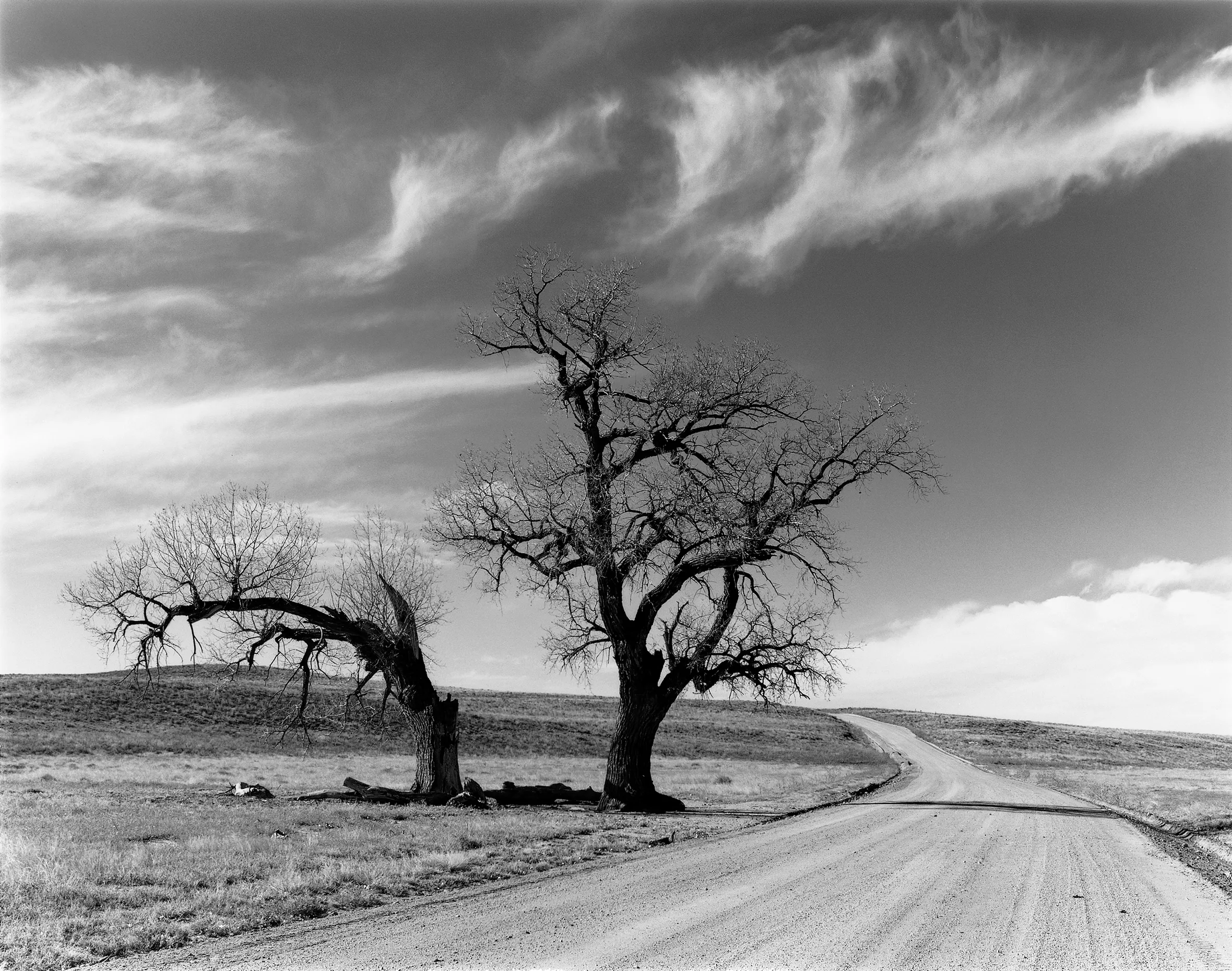 354 - Rhinehart - Somasundrum