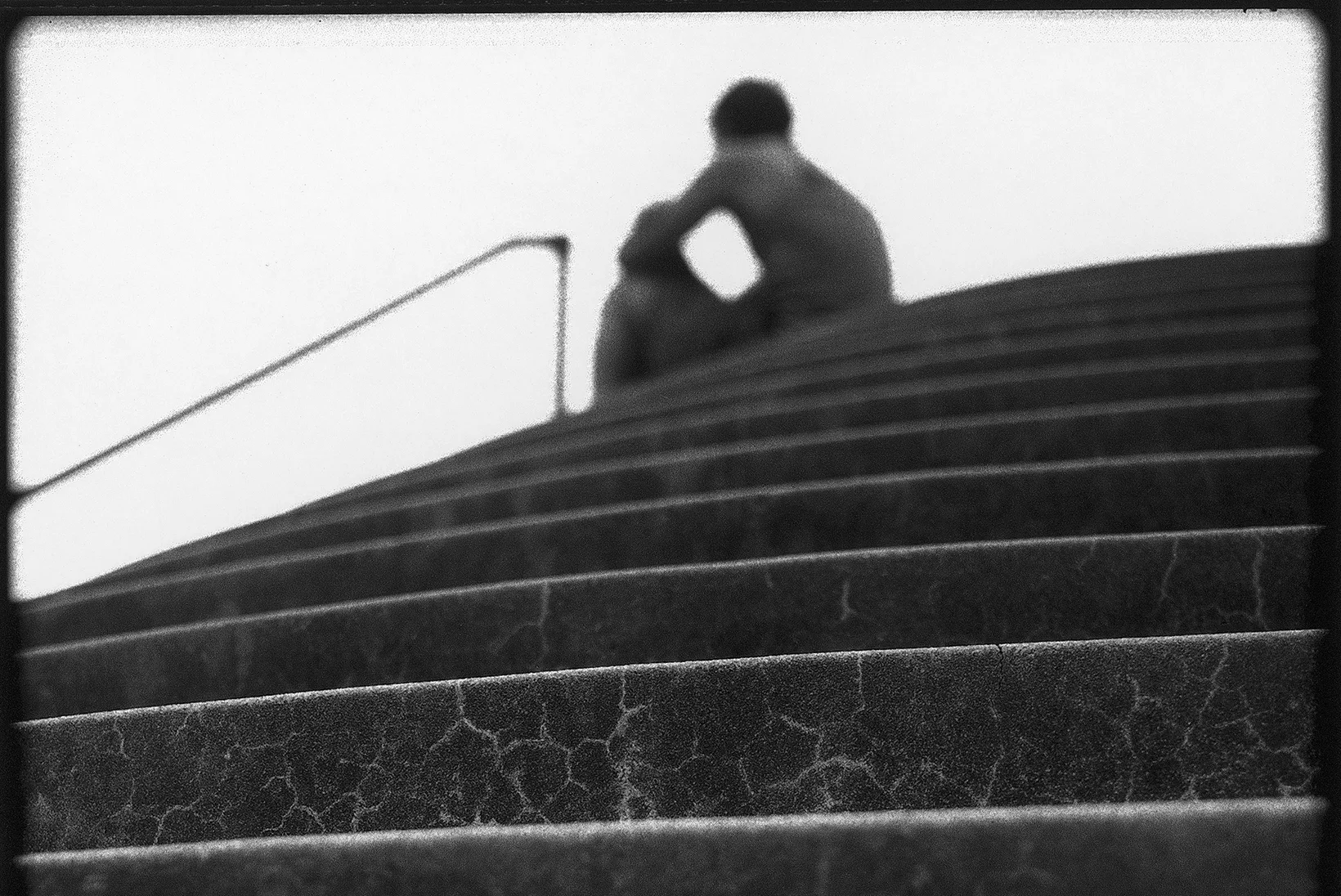 The Seed