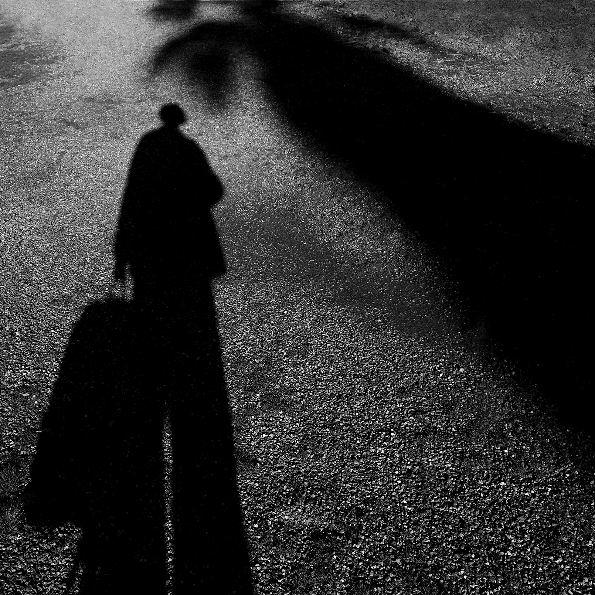 Cole Thompson