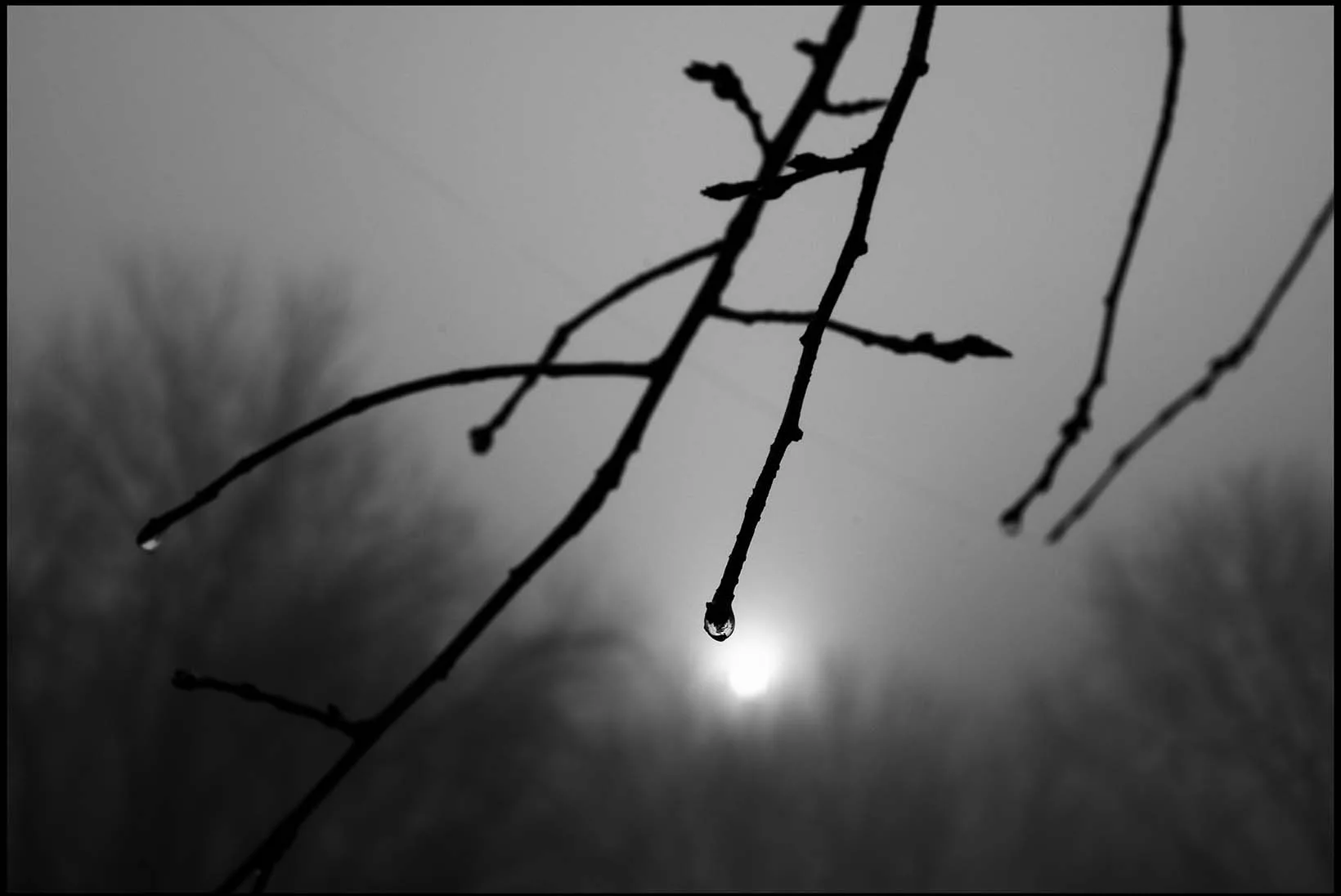 <em>excerpted from</em><br />In My Own Way