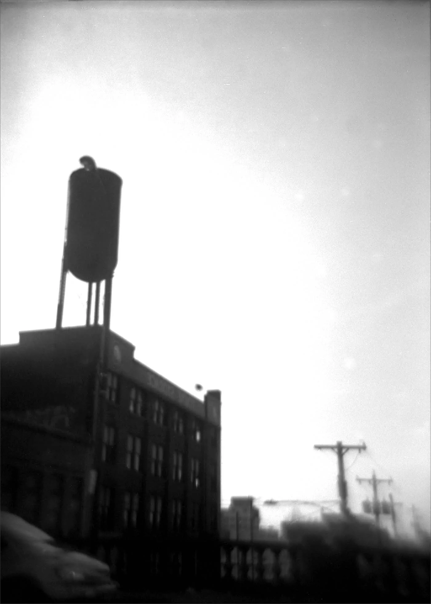 426 - Allen - Sealy