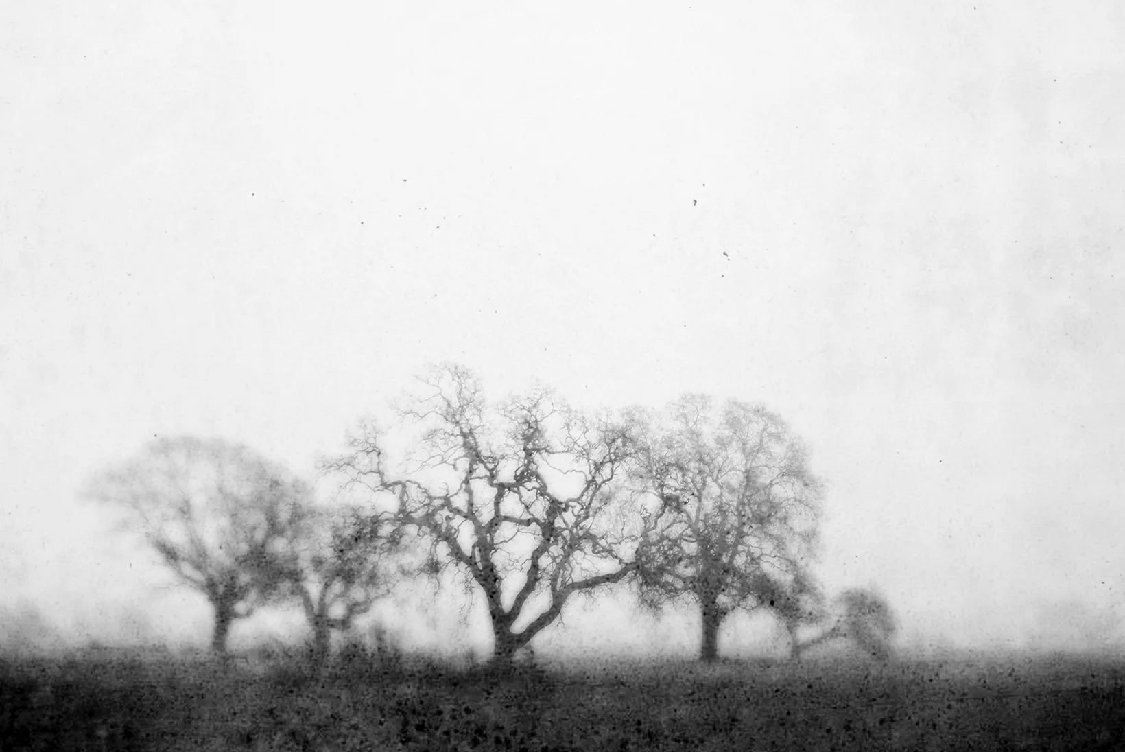 Ten Days In November
