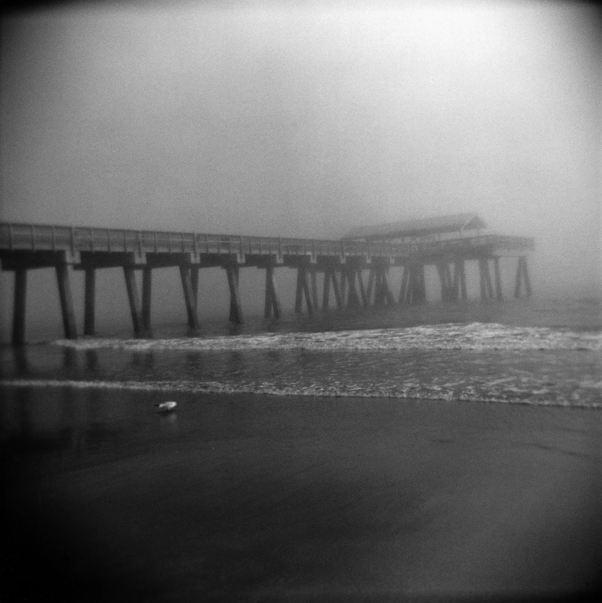 Perry Dilbeck