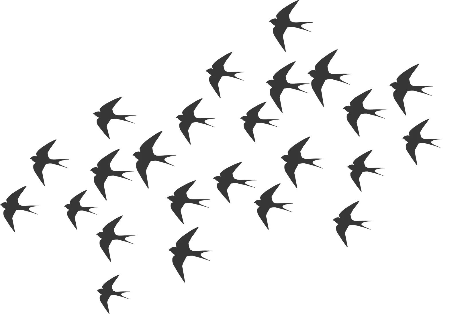 The Nesting Ground