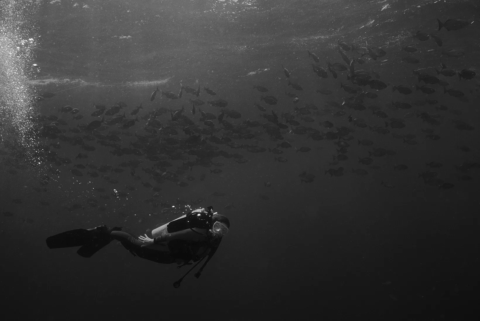 Sunken Treasures