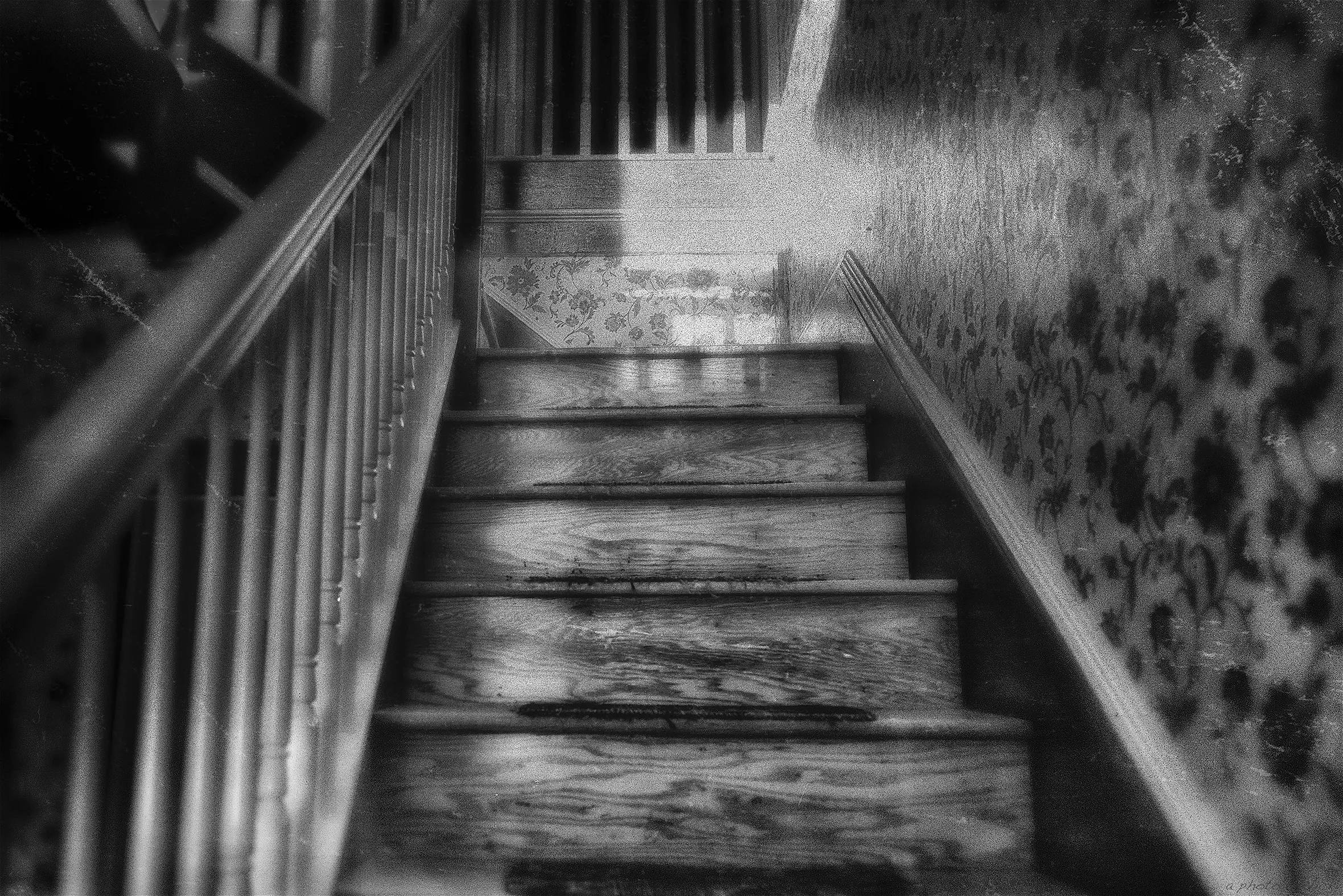 Vicki Reed