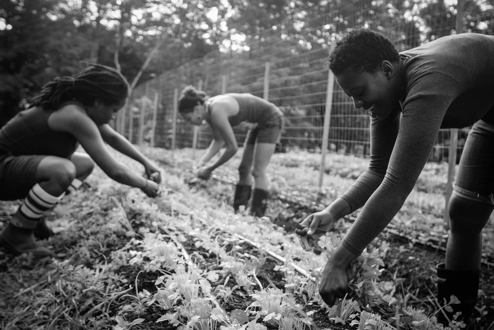 To Free Ourselves, We Must Feed Ourselves