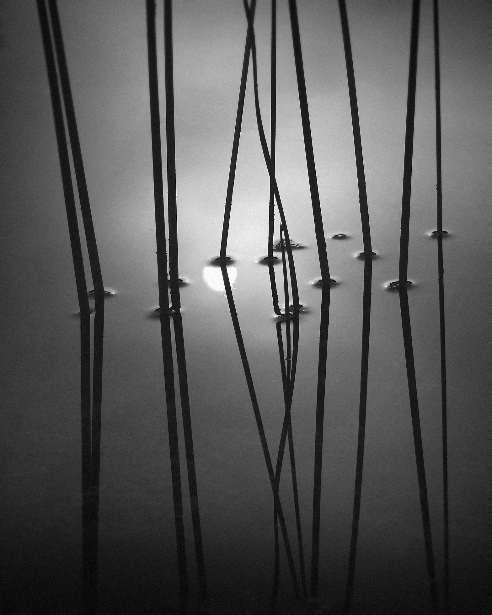 Nicholas Bell