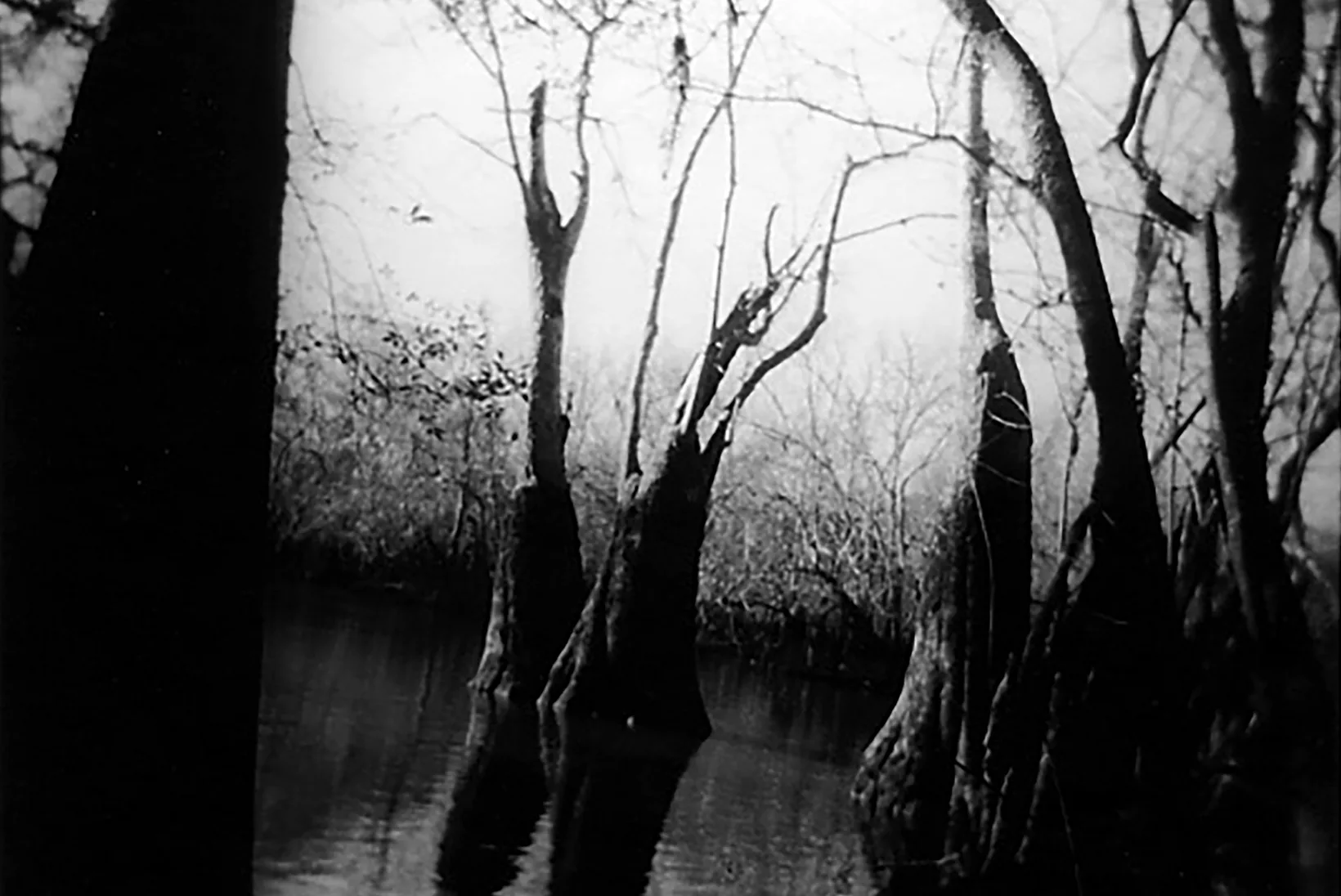 Bayou Boy