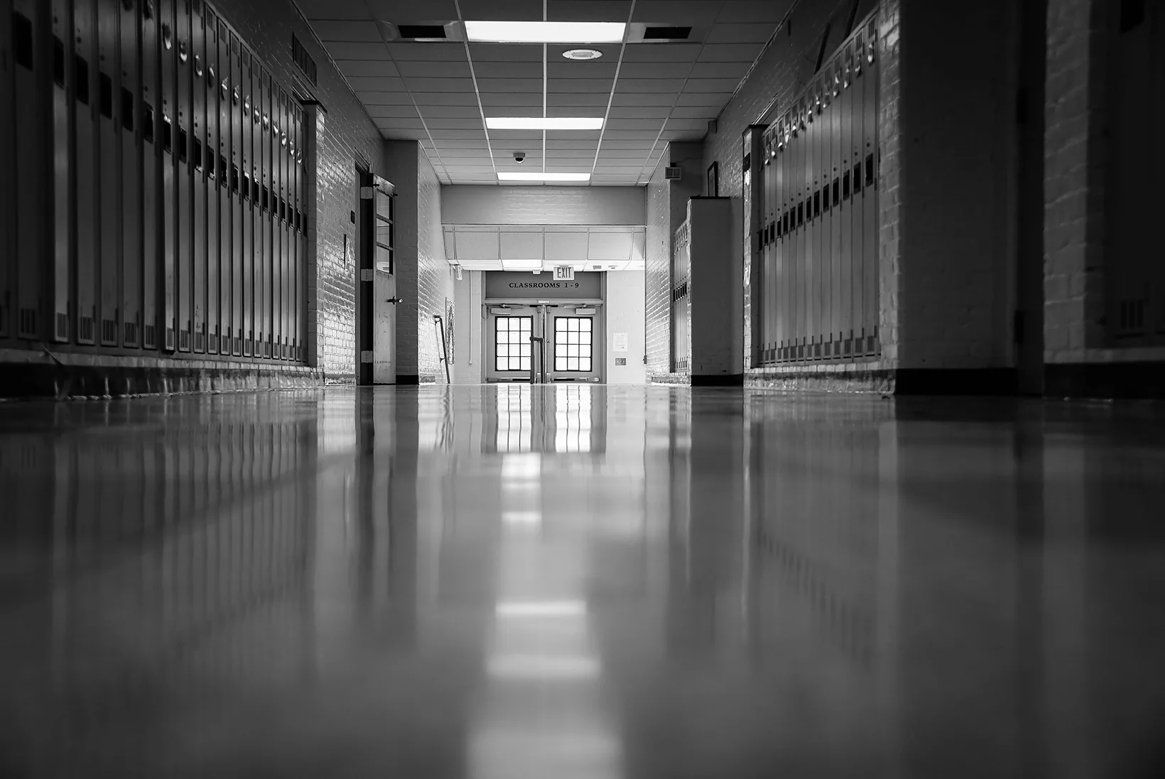 The School