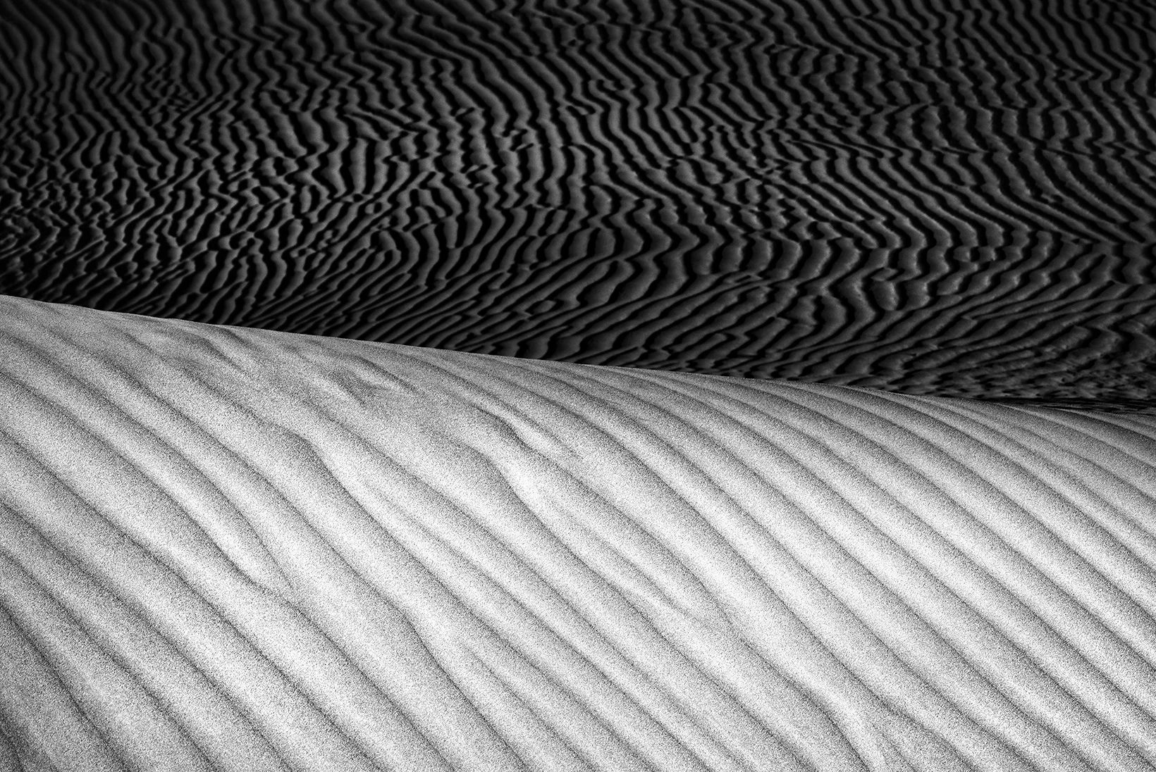 The Desert Within