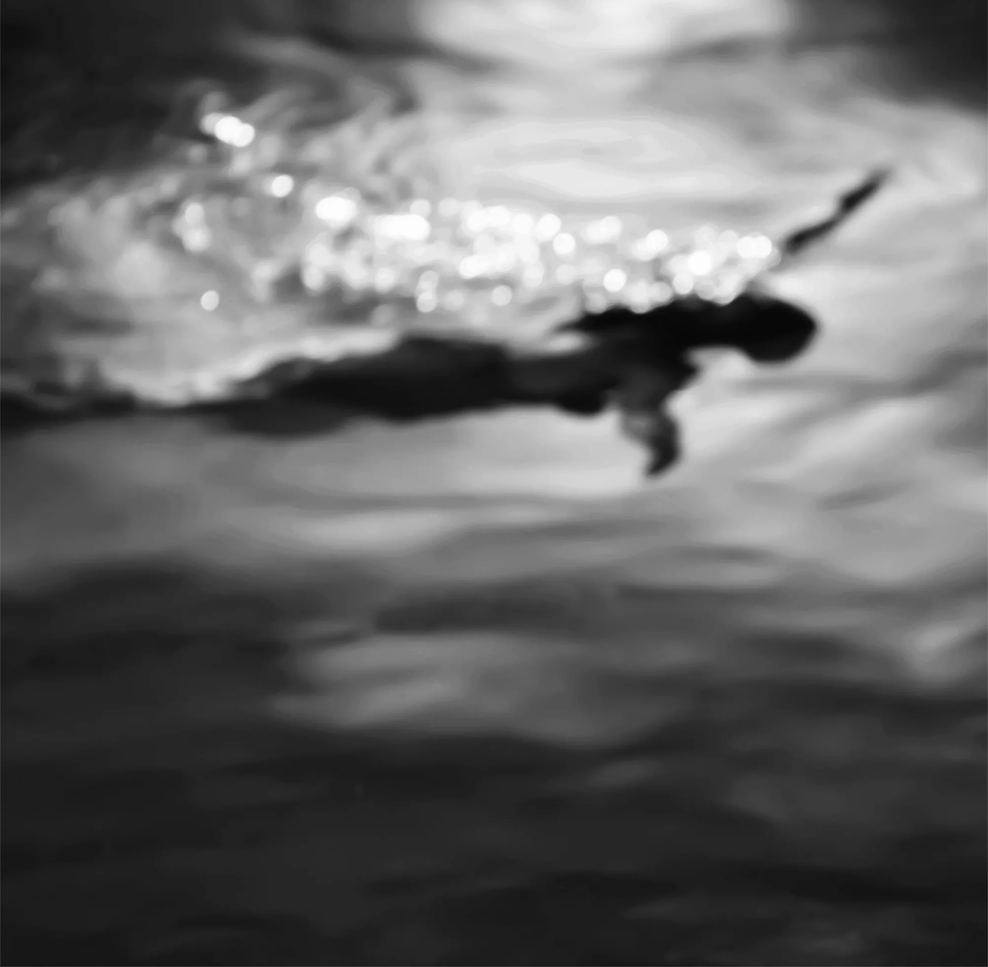 A girl with long hair is swimming along the top of the water face down with her arms out to her sides. The light is shining down the river and the girl is swimming perpendicular to the flow.