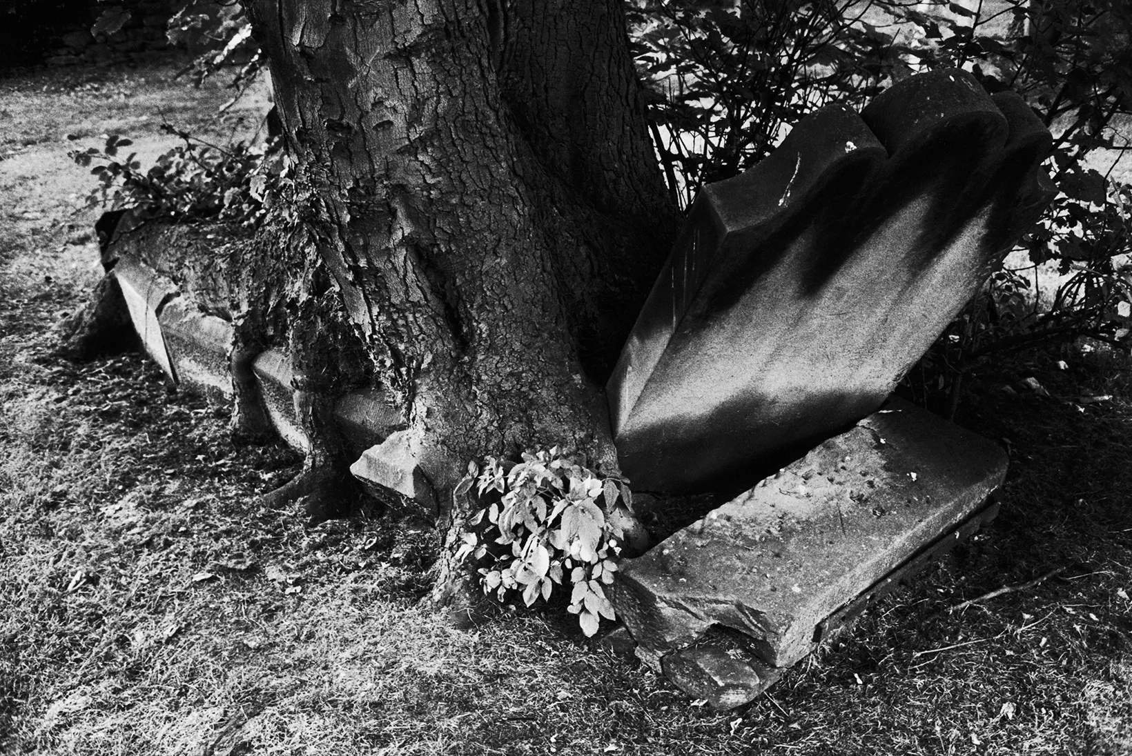 Quotations