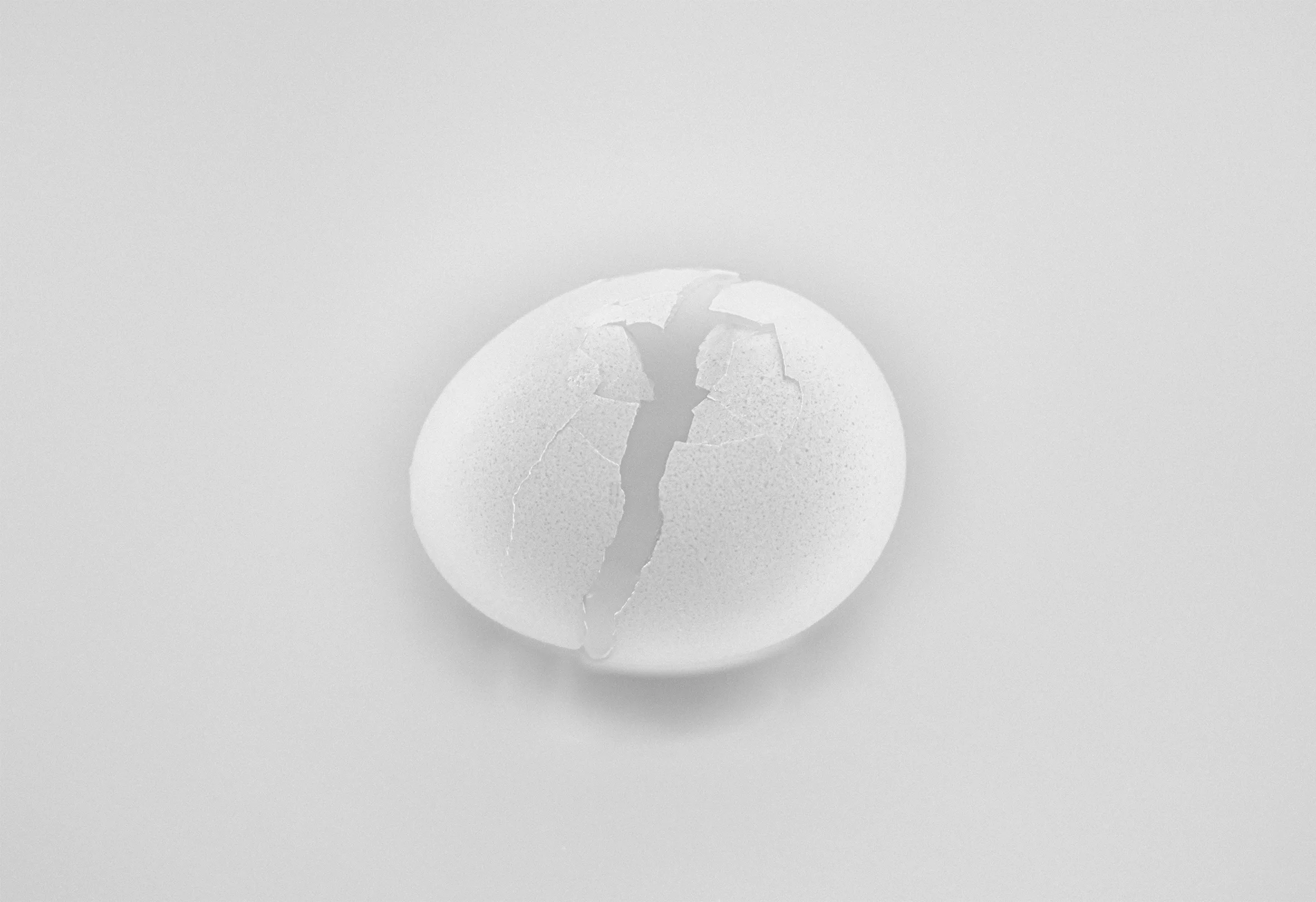 An egg with a wide crack down the middle that is completely empty.