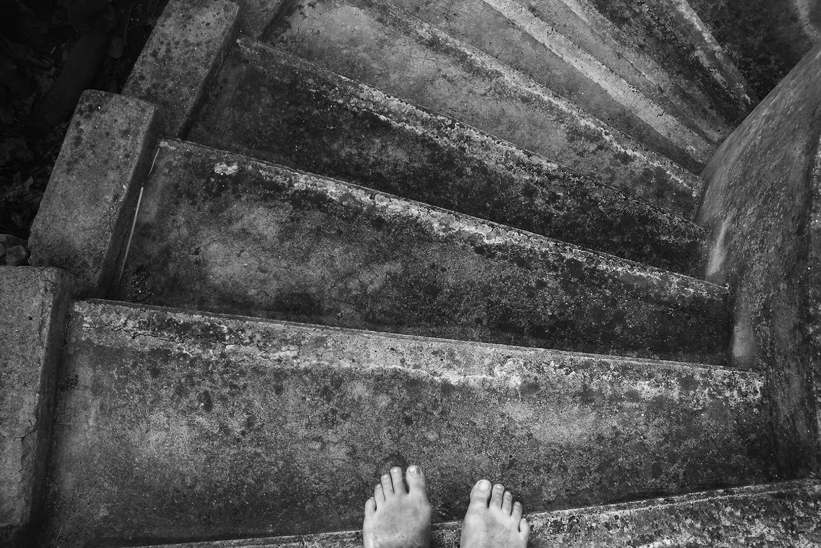 The Thistle Steps