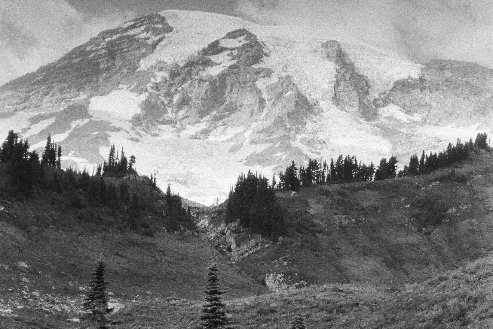 Gift Shops of the American Wild