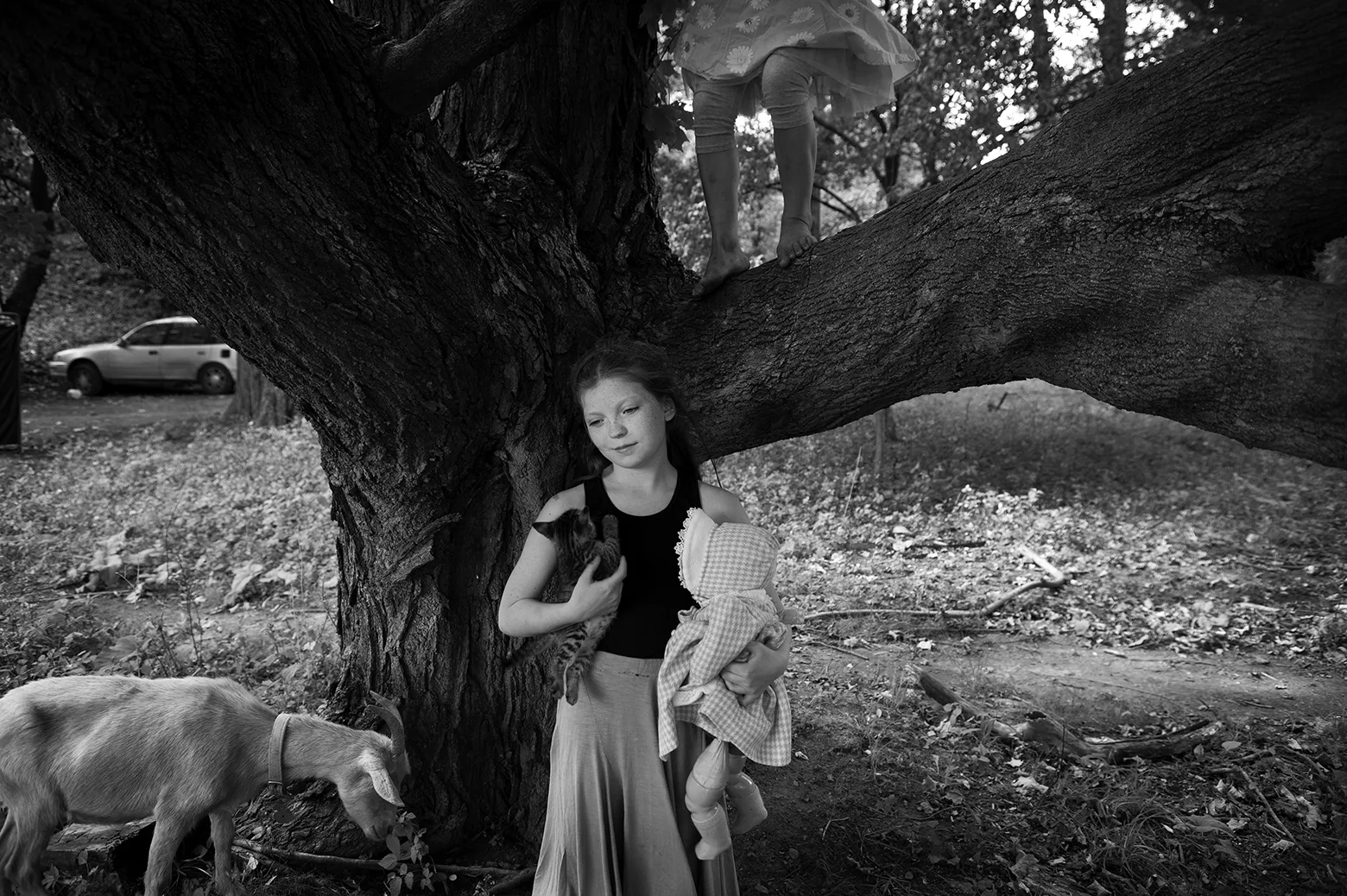 Maureen Beitler