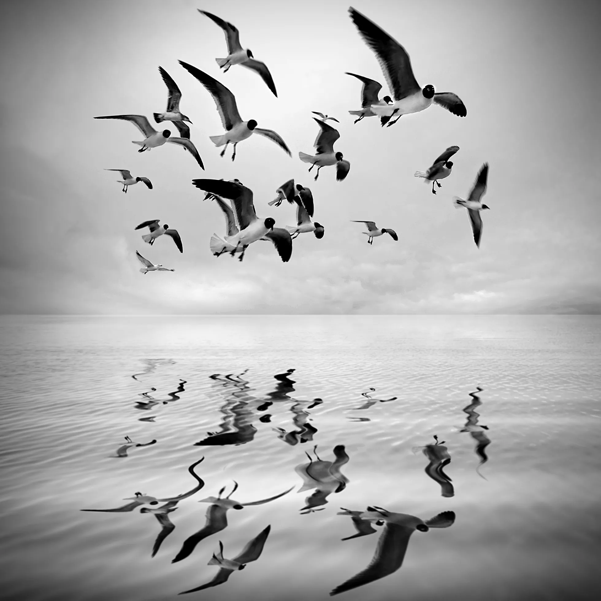 Marc Ward