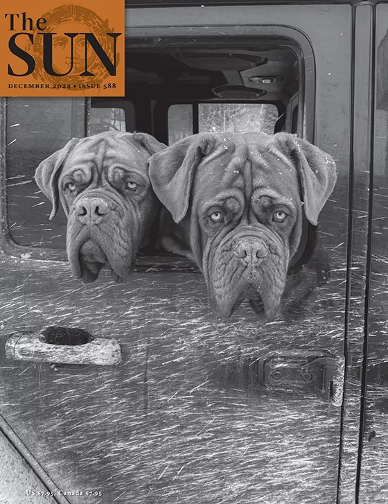 December 2024 cover of The Sun. Midge and Frank—two French mastiffs—have their heads outside of the driver’s side window of a truck while waiting at a market in Dolores, Colorado, during a snowstorm in December 2023. The snow is flying by.
