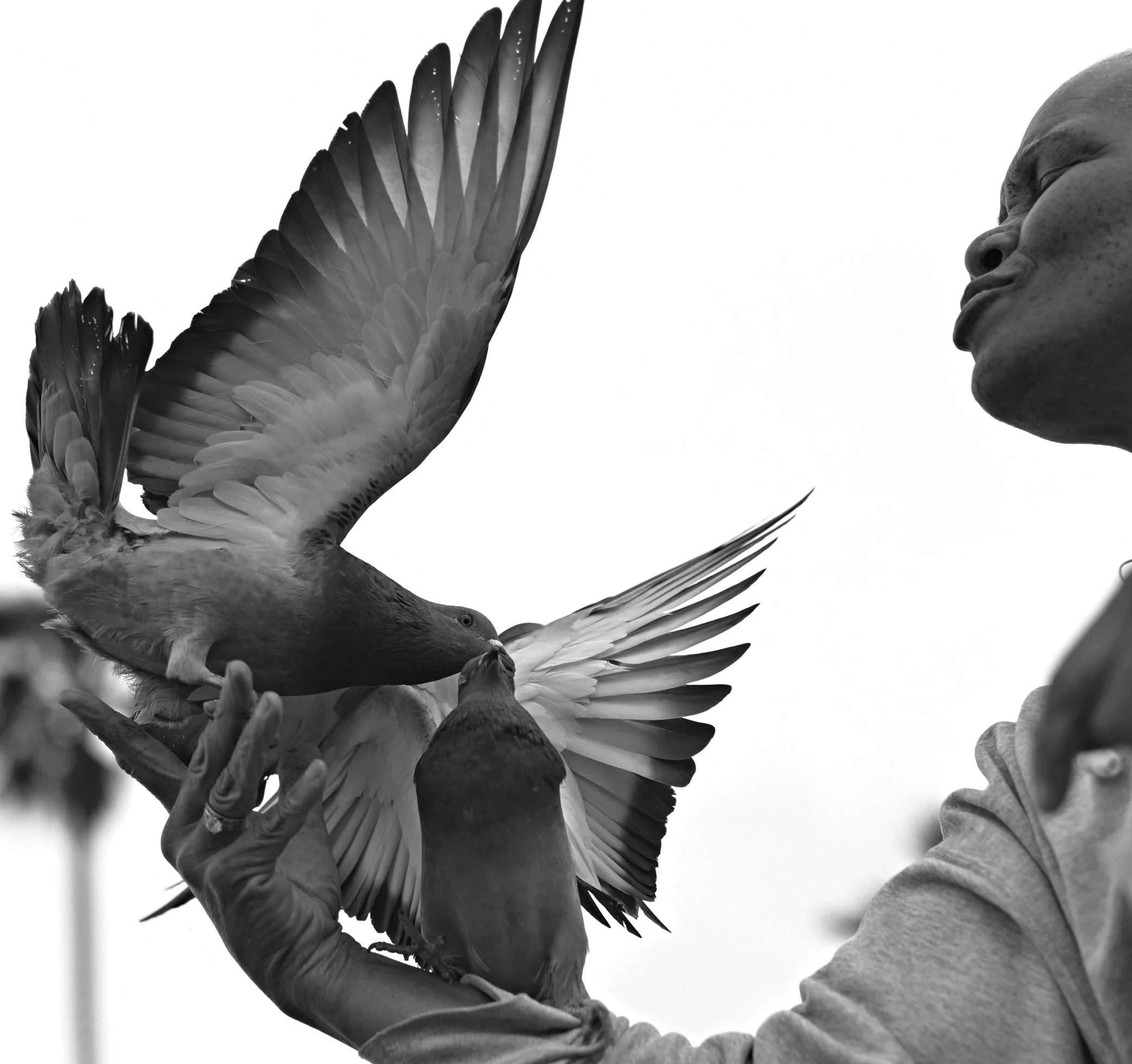 Two kissing pigeons sit on the hand of a woman
