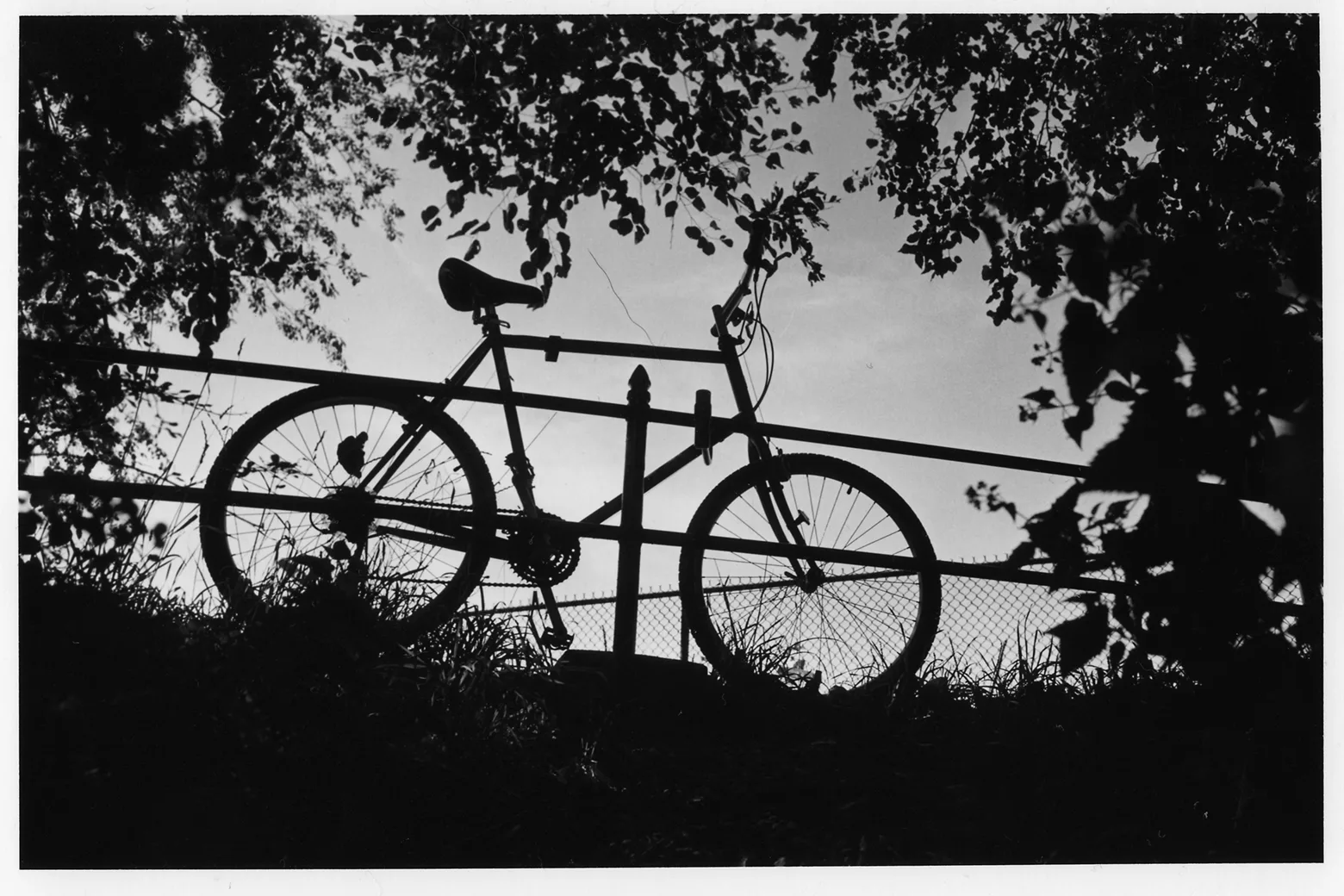 On Wheels