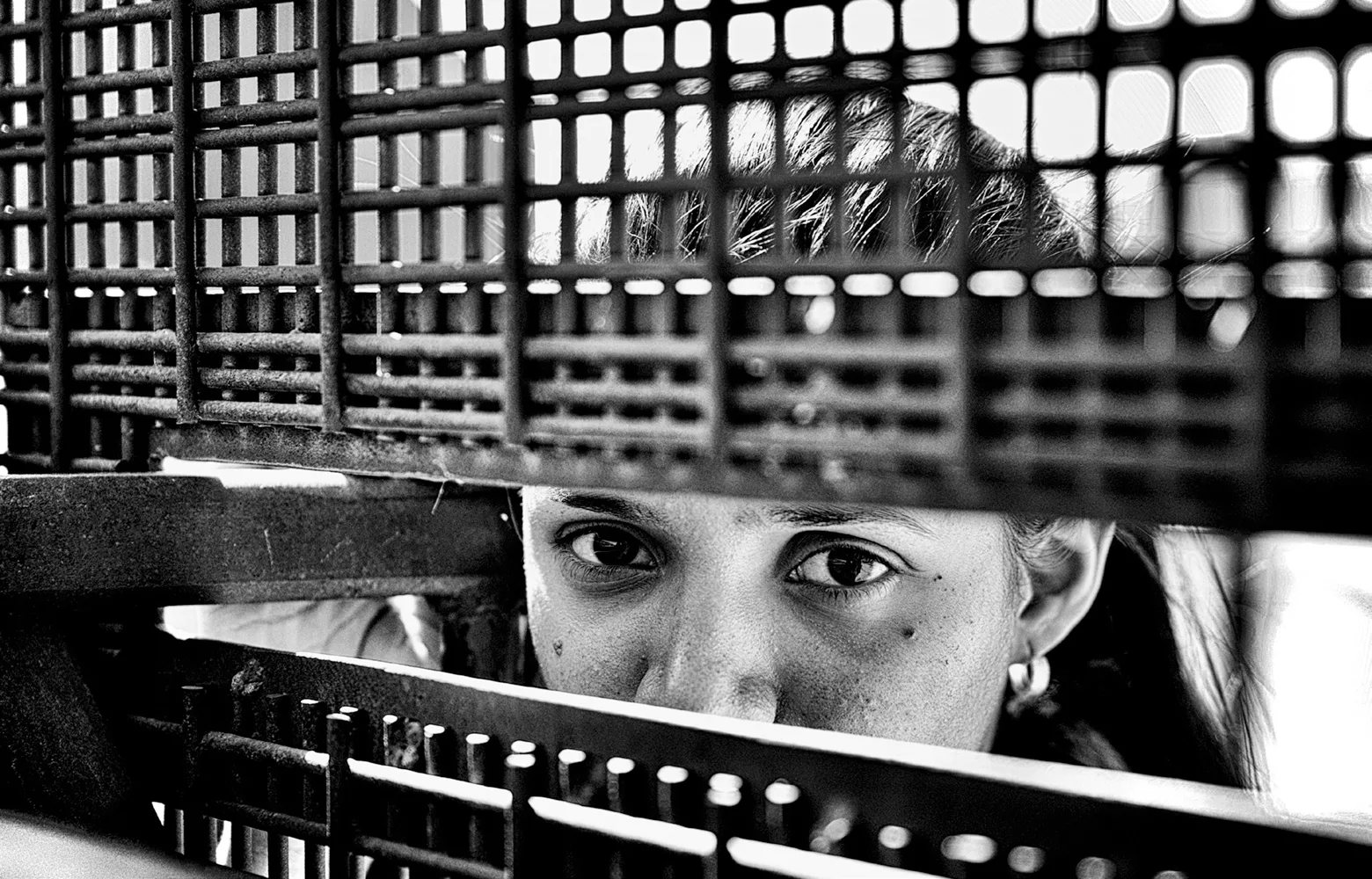 Laurie Smith