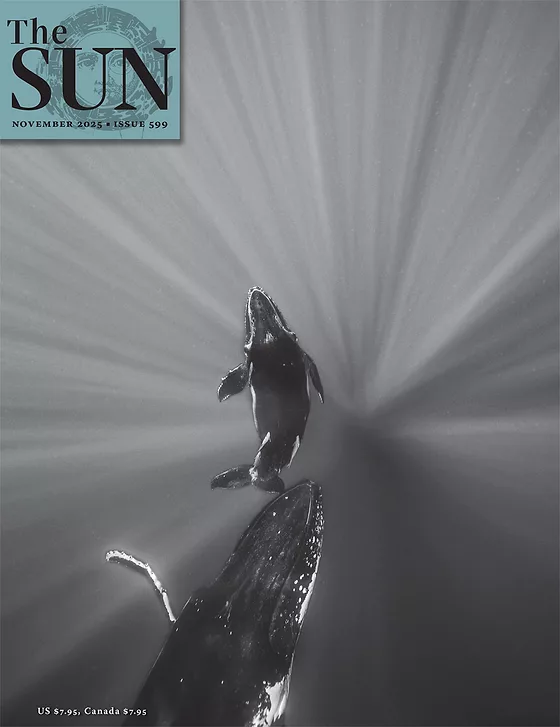 The Sun magazine November 2025 cover showing a humpback whale and calf swimming into a ray of light. Photo by Jodi Frediani.
