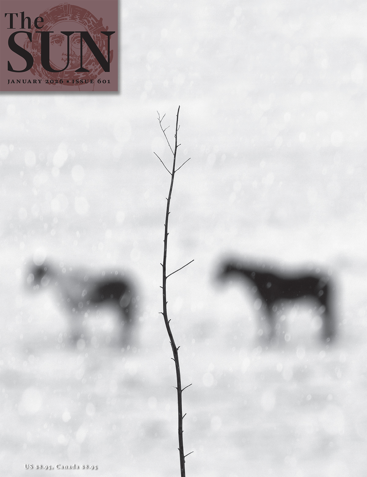 A skinny tree branch in the snow in between the blurred silhouettes of two horses