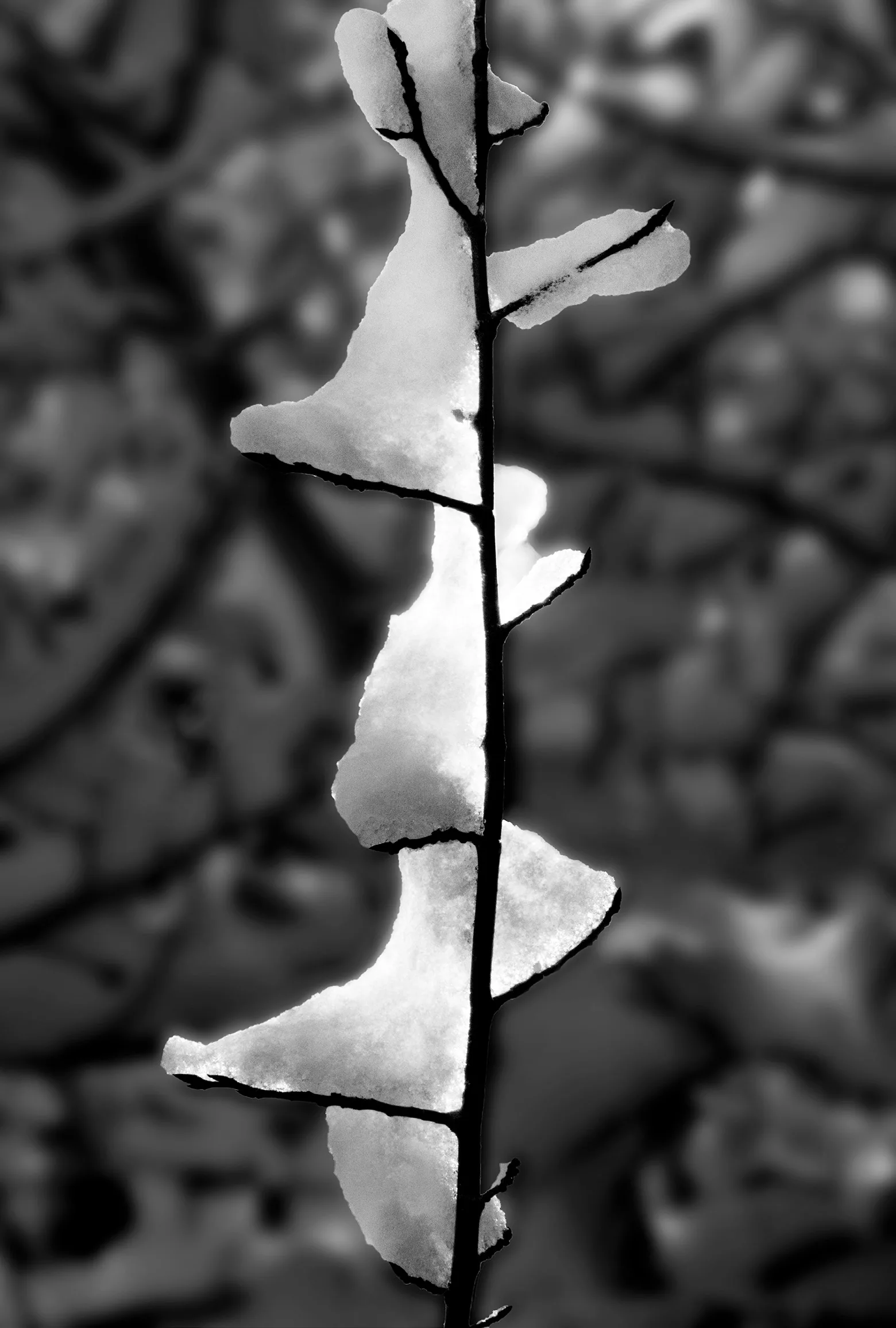 The Coast of Nowhere II