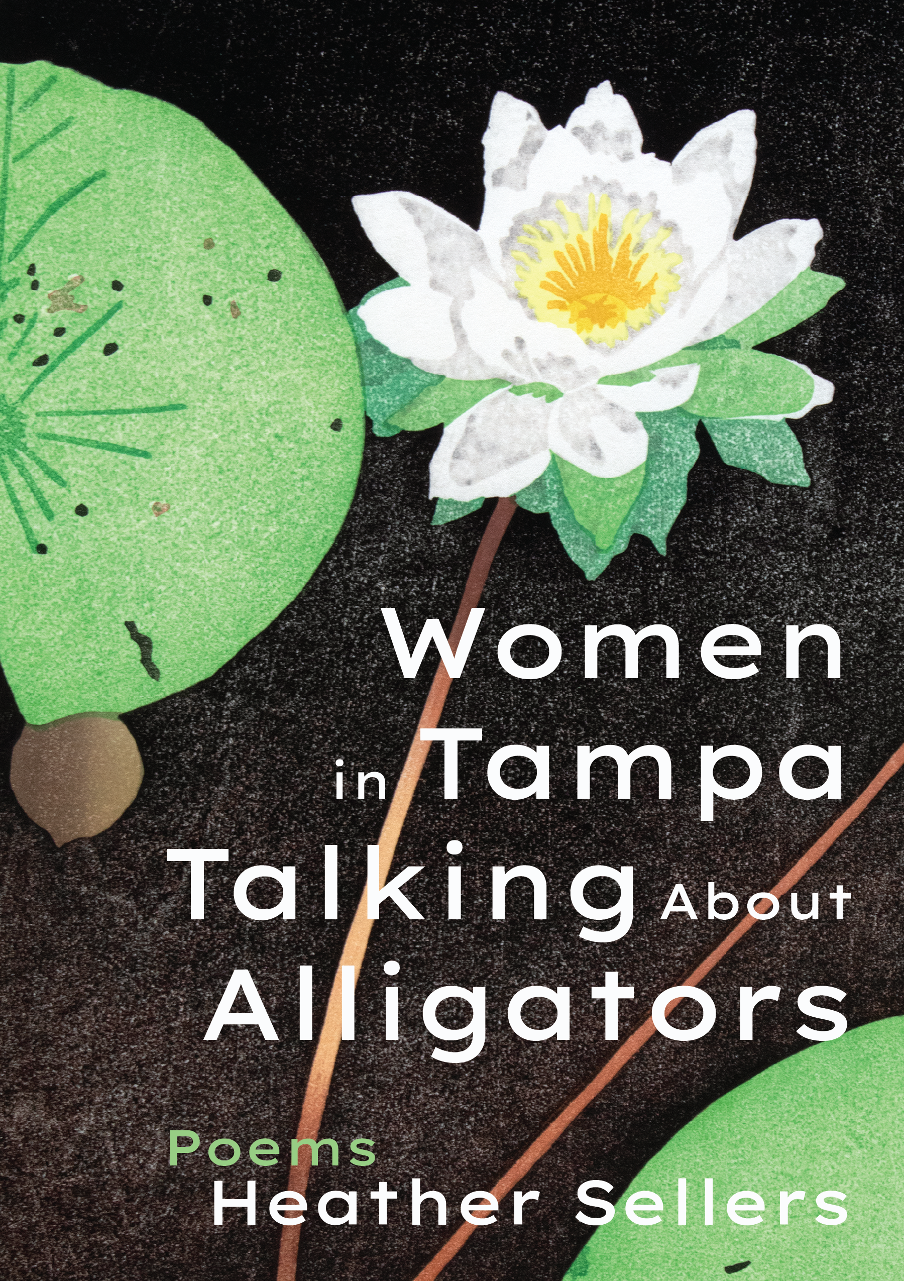 Book cover of Women in Tampa Talkin About Alligators by Heather Sellers
