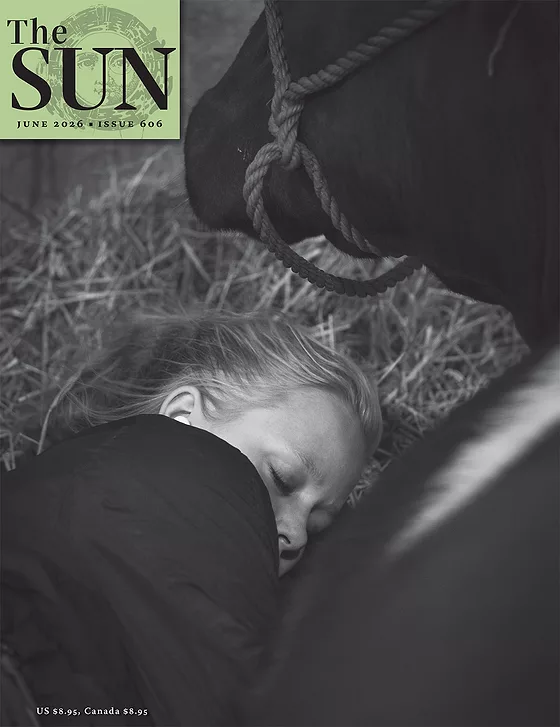 Issue 606 Cover A girl sleeps next to a cow