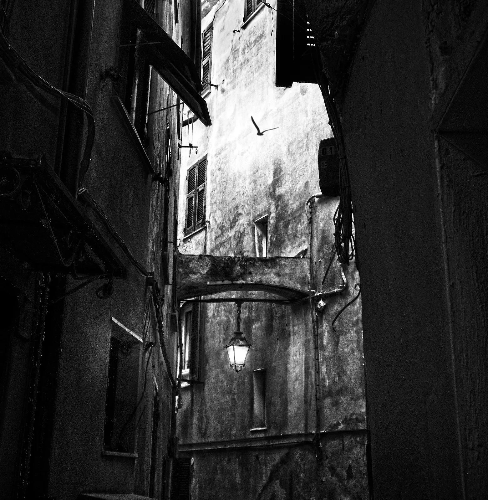 Fragments from a Pilgrimage