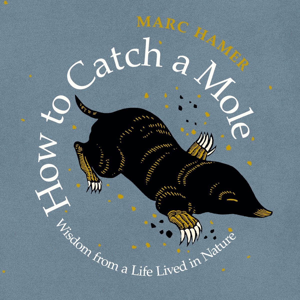 Book cover of How to Catch a Mole by Marc Hamer