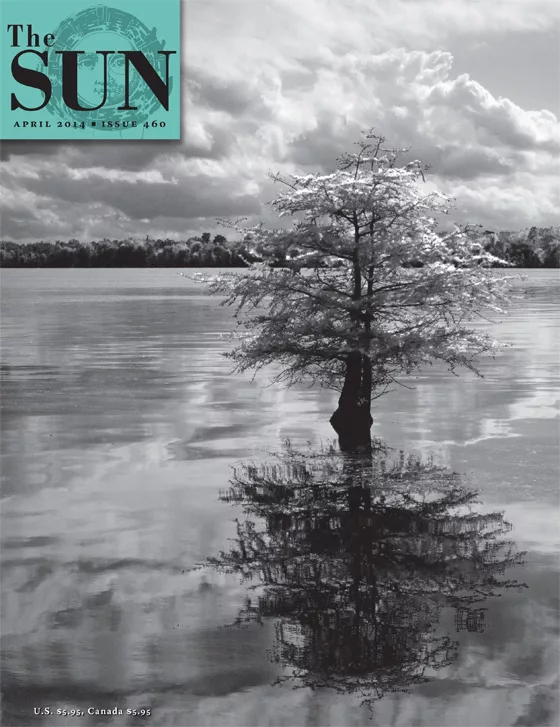 issue 460 cover