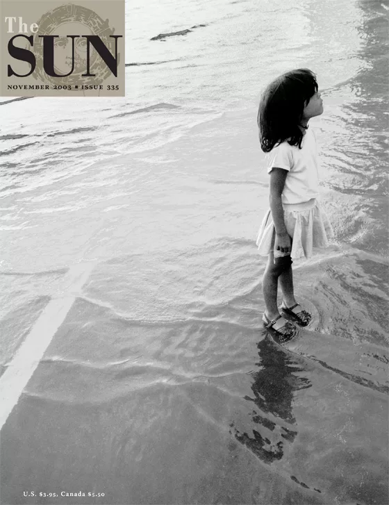 issue 335 cover