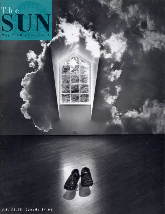 issue 293 cover