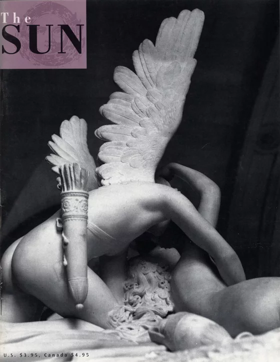 issue 291 cover