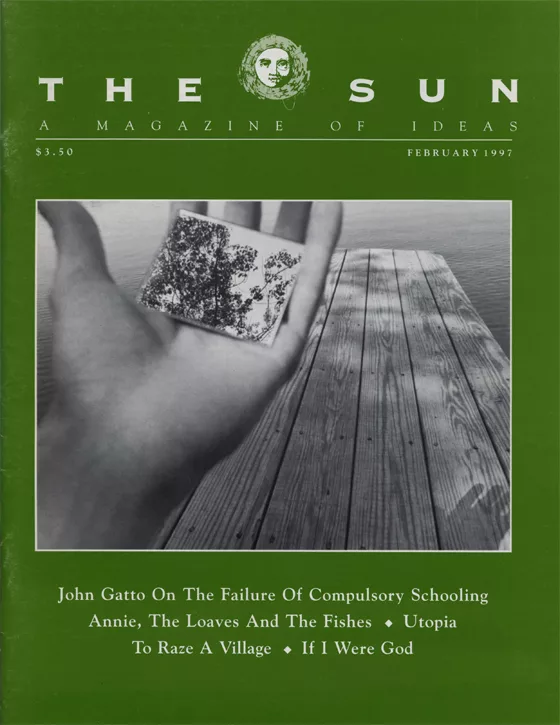 issue 254 cover